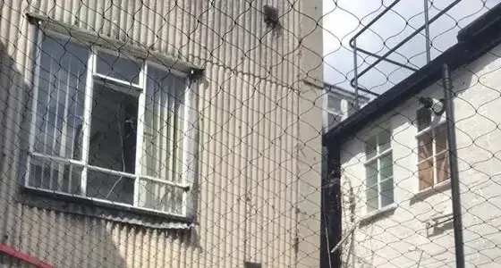 Bird Proofing in Bletchley - Example 2