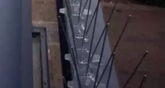 Professional Bird Proofing in Bletchley - Example 3